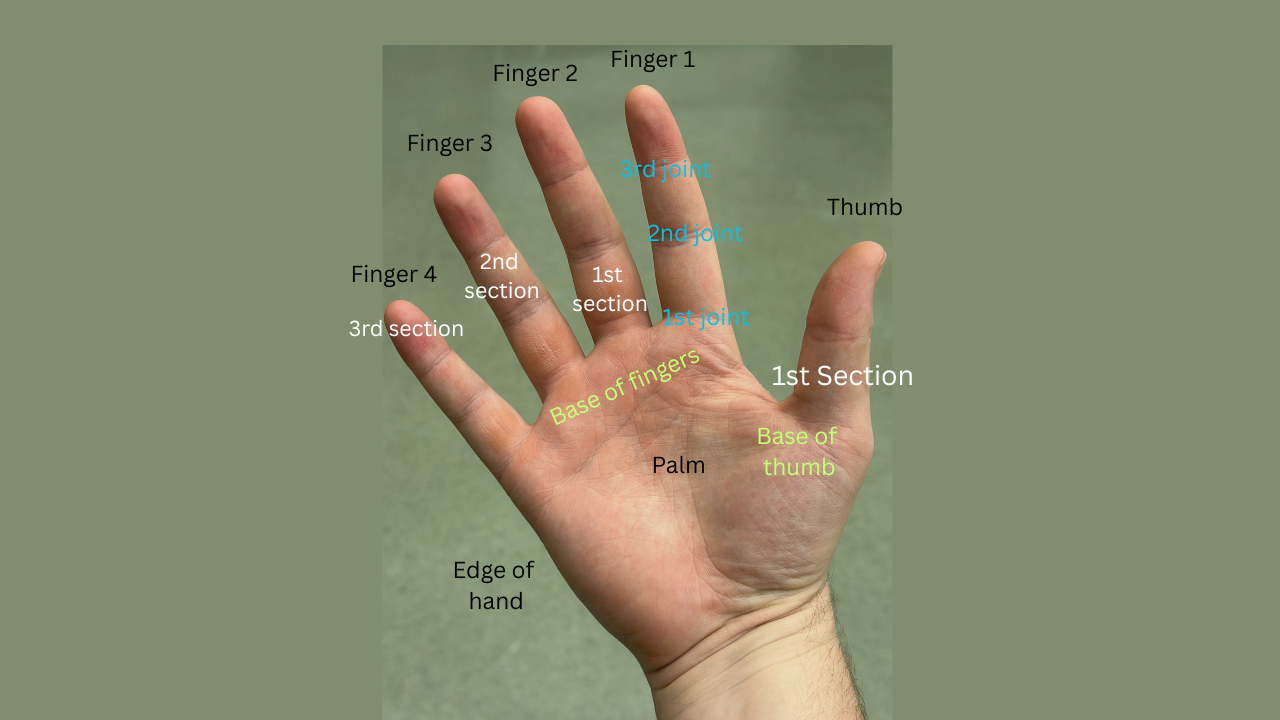 Diagram of the hand for Stevens Grip