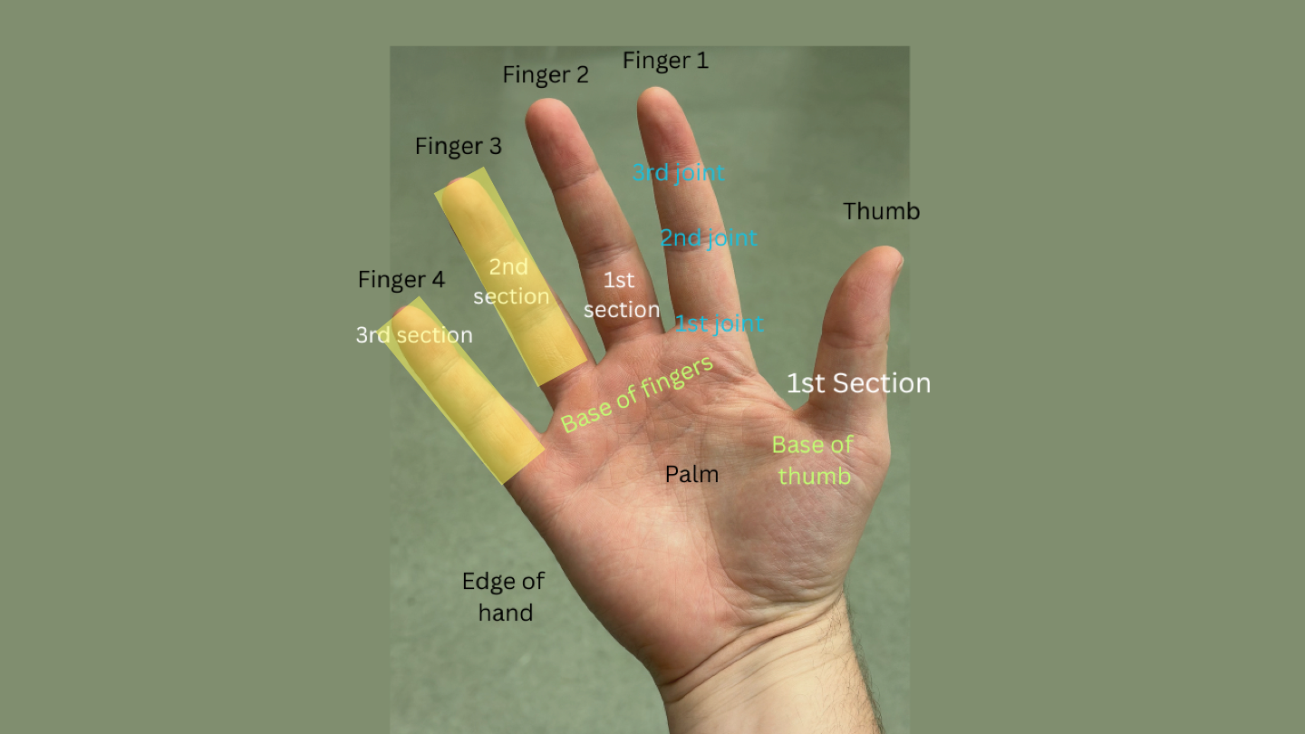 hand diagram fingers 3 and 4